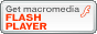 Download Flash Player!